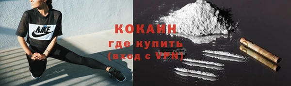 молекула духа Киреевск