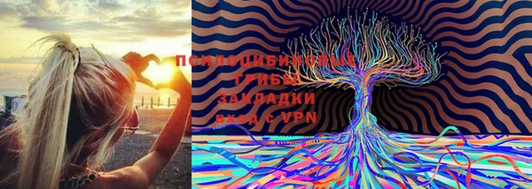 молекула духа Киреевск