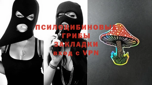 соль ск Касимов