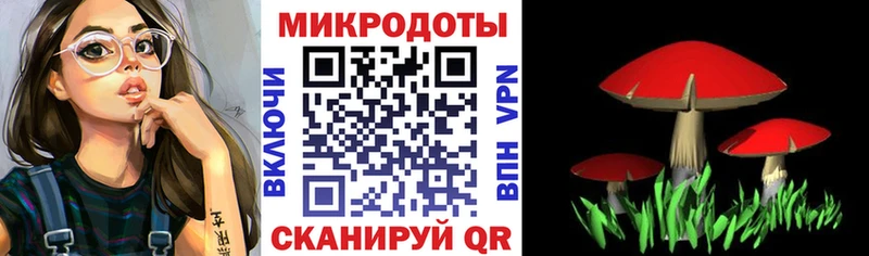 дарнет шоп  Крымск  Псилоцибиновые грибы Cubensis 